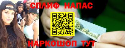 СК Краснодар