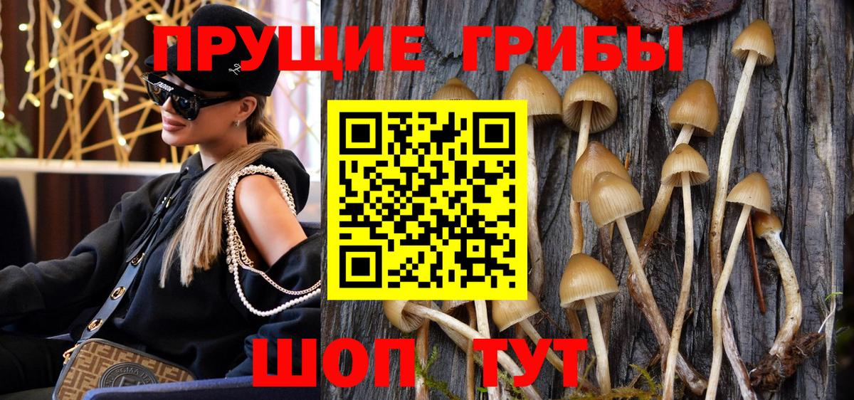 Зима  Галлюциногенные грибы прущие грибы  даркнет сайт  Вход с VPN 