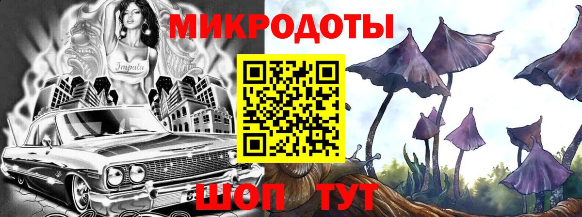 Псилоцибиновые грибы ЛСД Зима